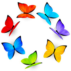 Fototapeta na wymiar Rainbow butterflies on white background