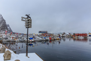 World championship in arctic cod fishing.
