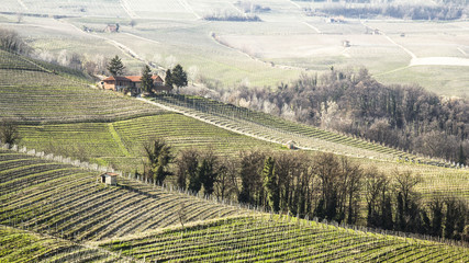 Fototapeta premium Tuscany