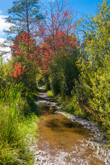 Schwenninger Moos, Villingen-Schwenningen