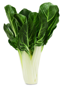 Fresh green chard isolated on a white background