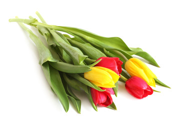 Red and yellow tulips