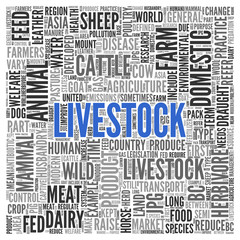 LIVESTOCK Concept Word Tag Cloud Design