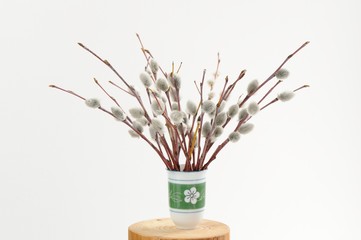 Bunch of pussy willow twigs in green vase on white background