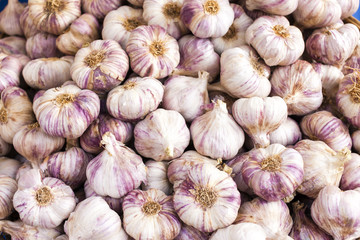 garlic, market in Forcalquier, Provence, France