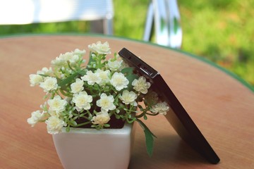 Smart phones and artificial flowers.
