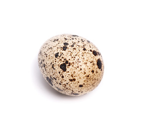 Naklejka na ściany i meble quail eggs