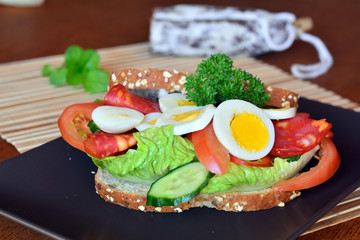Fresh and tasty sandwich with salami and vegetables on a plate