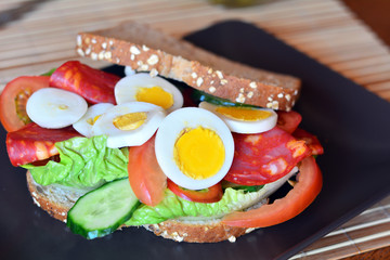 Fresh and tasty sandwich with salami and vegetables on a plate
