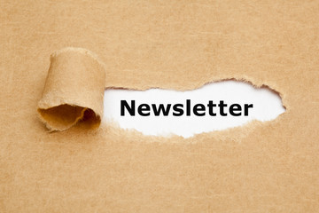 Newsletter Torn Paper Concept