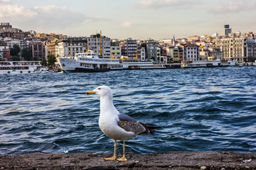 Istanbul seafront panoramic view.