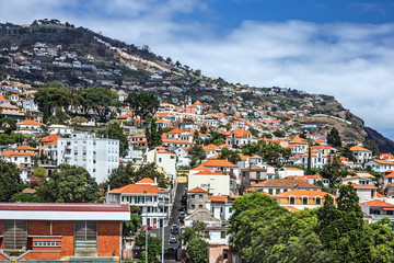 Naklejka na ściany i meble Madeira town houses of Funchal - capital of Madeira island, Port