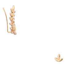 Obraz premium Jewerly