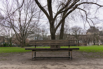 lonely bench