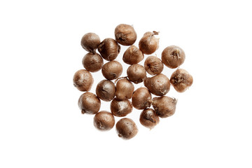 Several flower bulbs on a white background