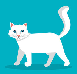 Pet design.