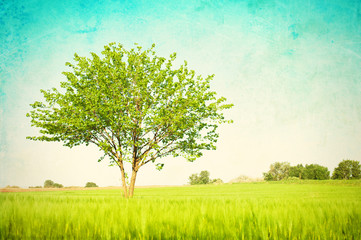 Fototapeta premium Grunge meadow