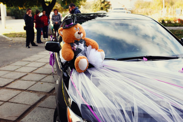 Wedding teddy bear groom and his bride on the car