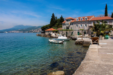 Rose, Montenegro
