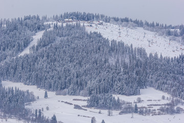 Ski resort next to the forest covered by fresh snow