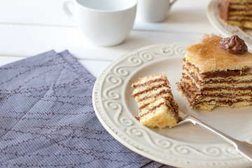 Piece of layered cake (Dobosh Hungarian cake)