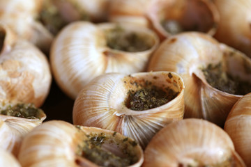 Escargots