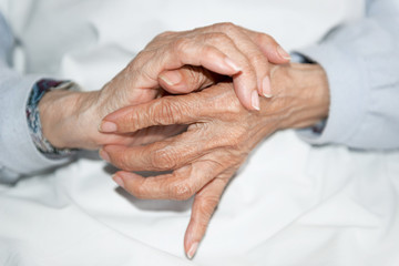 Hands of elderly person