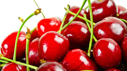 ripe cherries in a bucket