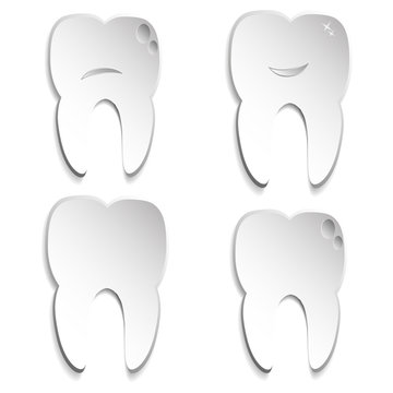 four teeth on white background