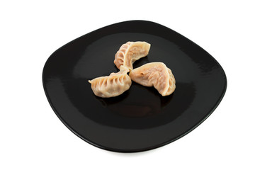 Chinese meat dumplings