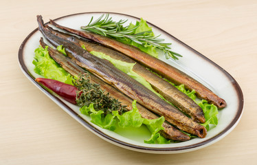 Lamprey