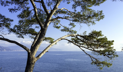 Ligurian Sea shoreline in wintertime. Color image