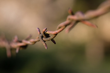 rostiger stacheldraht