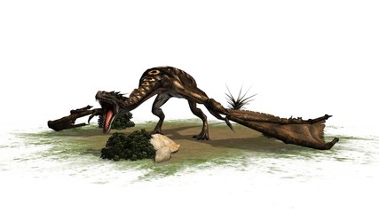 fantasy Dragon Creature - separated on white background