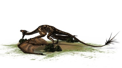 fantasy Dragon Creature - separated on white background