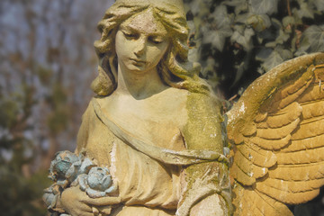 Vintage image of a sad angel on a cemetery against the backgroun