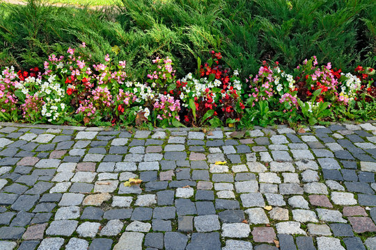 Floral Flowerbed