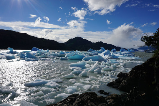 Icebergs, Lago Grey, Torres del Paine National Park