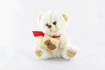 petit ours blanc