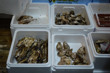 Tsukiji Fischmarkt in Tokio, Japan