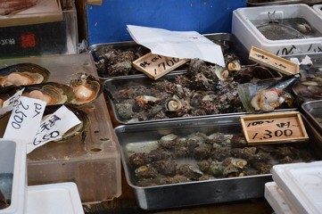 Tsukiji Fischmarkt in Tokio, Japan