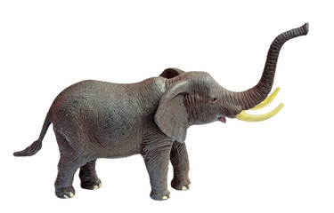 Toy Elephant on White Background
