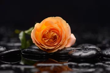 Foto op Aluminium Still life with orange two rose and wet stones © Mee Ting