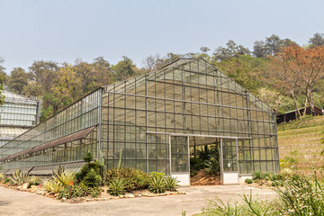 Obraz premium greenhouse in the botanic garden