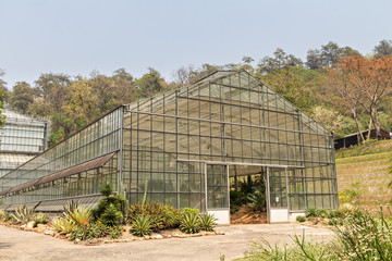 greenhouse in the botanic garden