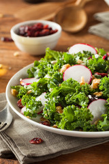 Healthy Raw Kale and Cranberry Salad
