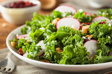 Healthy Raw Kale and Cranberry Salad