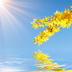 Obraz premium Der Frühling ist da