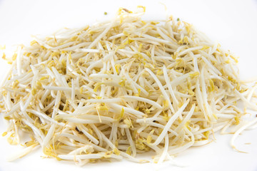 Vigna radiata on white background.Isolated