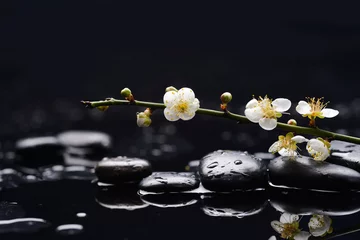 Fototapete Rund Spa branch tropical flower with therapy stones  © Mee Ting